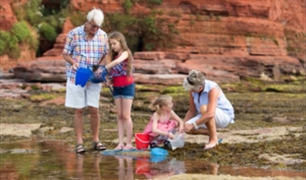 Award Winning Beaches on the English Riviera