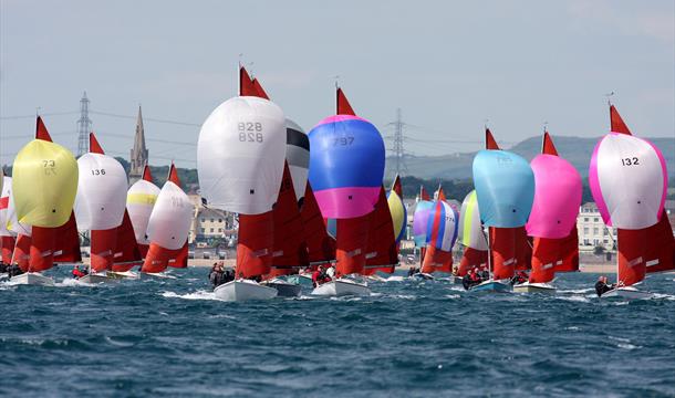 Squib Fleet, Torquay, Devon