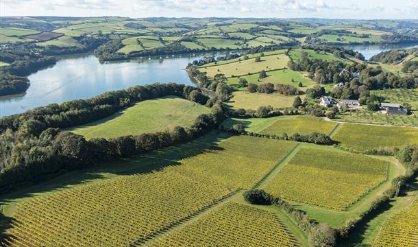 Landscape view of Sandridge Barton, Stoke Gabriel, Nr Totnes, Devon