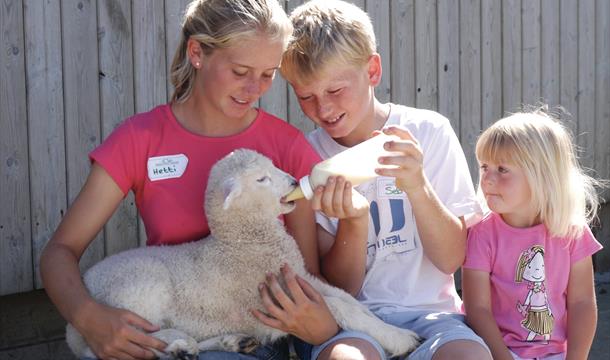 Pennywell Farm