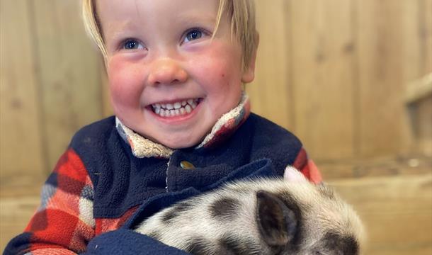 Pennywell Farm