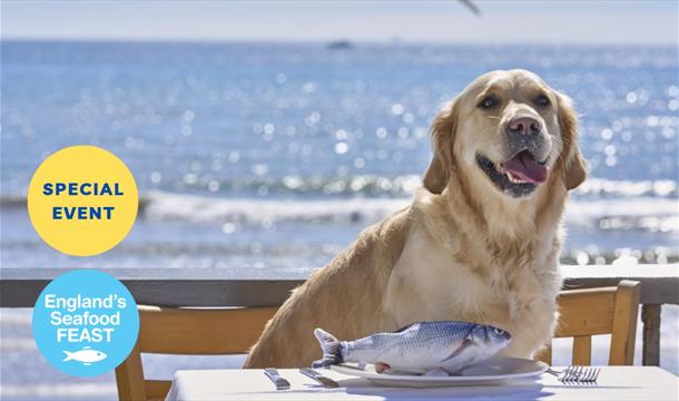 Sea Dogs at Shoreline, England's Seafood FEAST