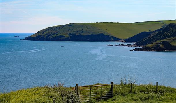 View of Sharkham, Nr Brixham, Devon