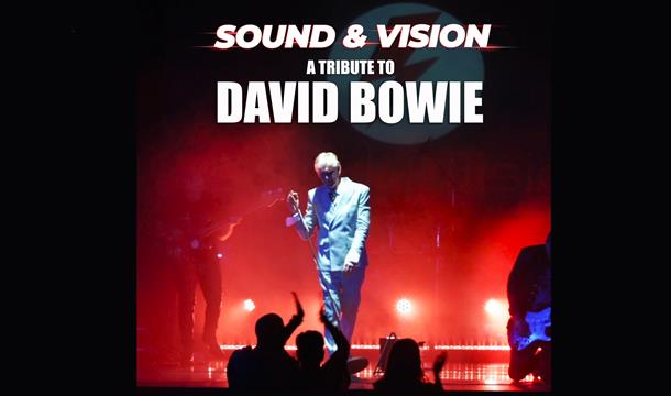 Sound and Vision - A Tribute to David Bowie, Palace Theatre, Paignton