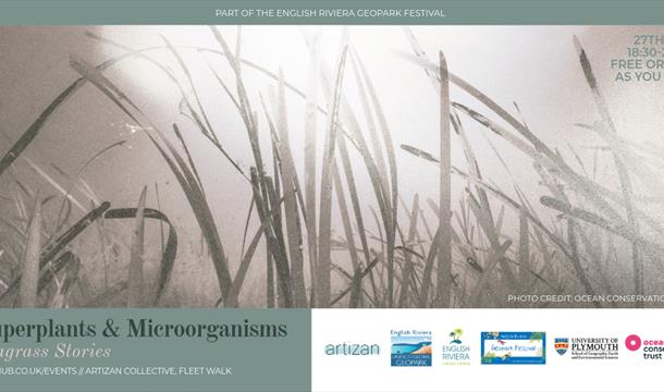 Superplants & Microorganisms: Seagrass Stories, Artizan Collective, Fleet Street, Torquay