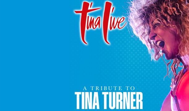 Tina Live – The Tina Turner Experience, Palace theatre, Paignton