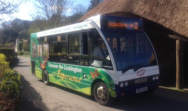 Torbay Buses
