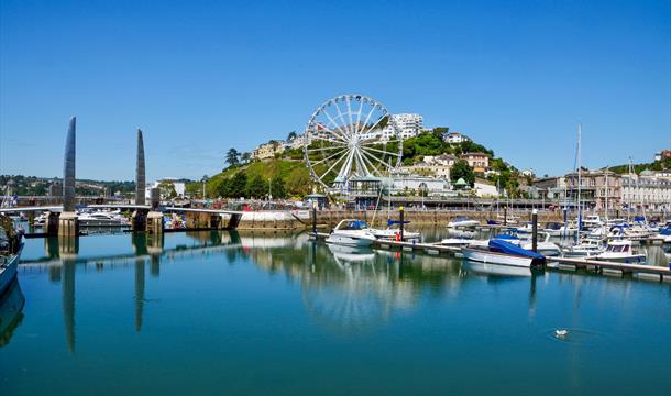 Torquay harbour and Riviera Wheel