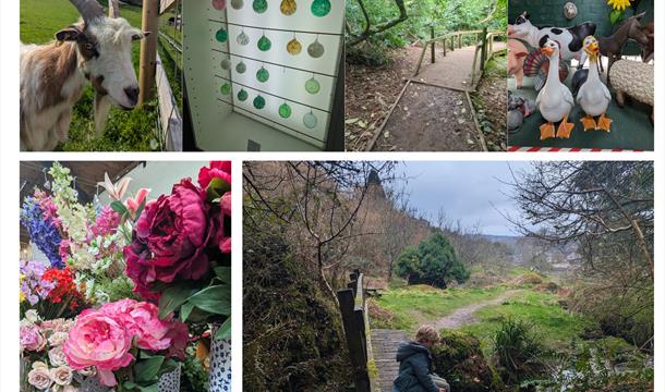 Snapshot Trips – See Devon Your Way