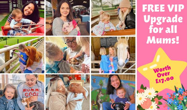 VIP OFFER FOR MUMS: Mother's Day at Pennywell Farm