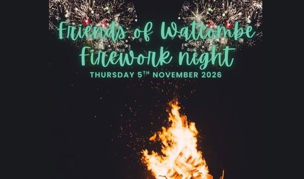 Watcombe Primary School Fireworks