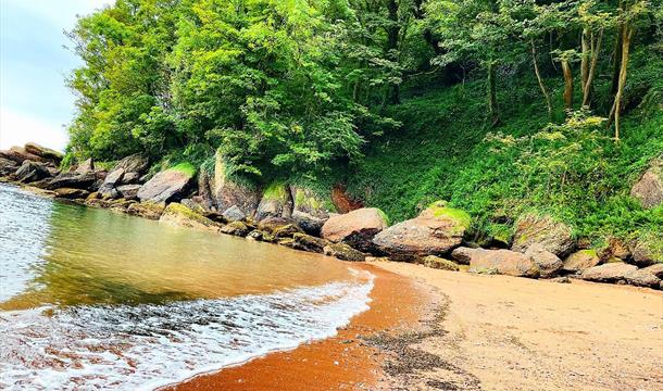 Watcombe Beach, Torquay, Devon