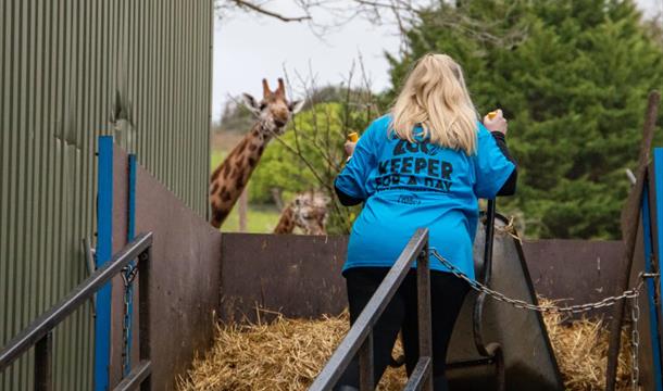 Zoo Keeper for a Day Experience at Paignton Zoo