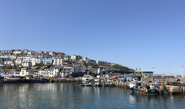 Brixham Holiday Park Dog Friendly in Brixham, Devon