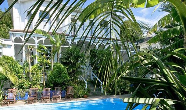 Sub tropical garden and swimming pool at Hunsdon Road, Torquay, Devon