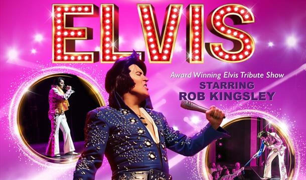A Vison of Elvis, Palace Theatre, Paignton