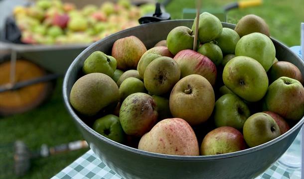 Cider Making Workshop with Orchard Drinks, Occombe Farm, Paignton