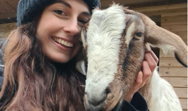 Valentines's Goat Walk and Experience - Occombe Farm