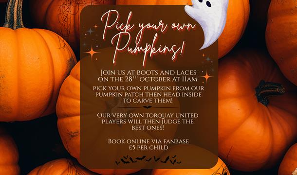 Pick your own pumpkins