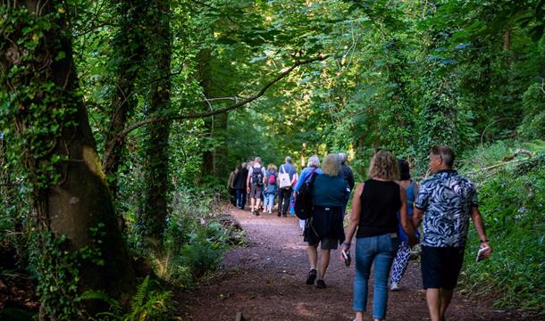 en-route to the Lakes via Manscombe Woods