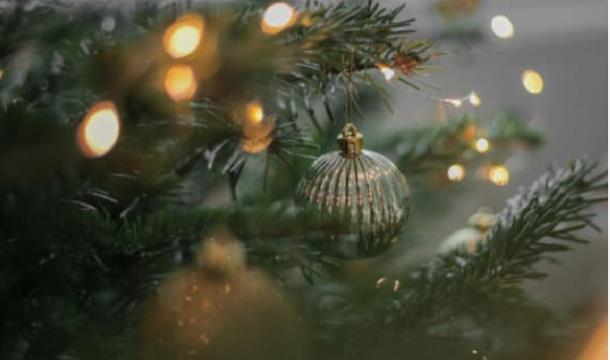 Murder Mystery Afternoon tea: A shocking Christmas!, Palace Theatre, Paignton