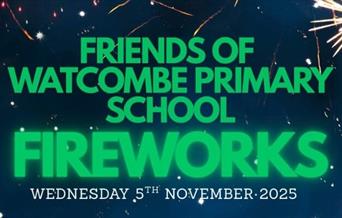 Watcombe Primary School Fireworks