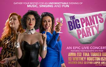 The Big Pants Party, Babbacombe Theatre, Torquay