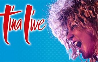 Tina Live – The Tina Turner Experience, Palace theatre, Paignton