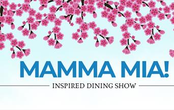 Mamma Mia Inspired Dining Show, Redcliffe Hotel, Paignton