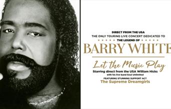 Picture of the artist