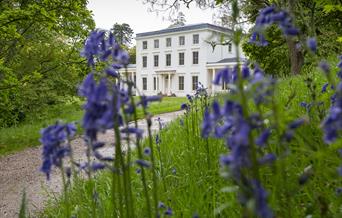 Exterior National Trust - Greenway