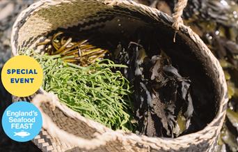 Coast to Caves event, part of England's Seafood FEAST. A basket of freshly foraged seaweed sits on a beach.