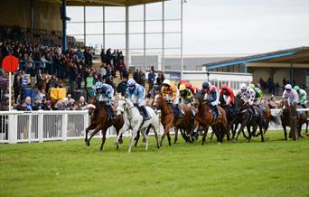 Newton Abbot Racecourse & Conference Centre