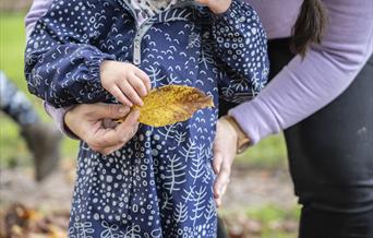 Child playing with a leaf