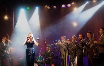 Swing That Music with the Down for the Count All-Stars singer and backing band