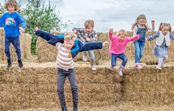 Donkeys at Occombe Farm, Torbay Coast and Countryside Trust