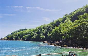 Dog Friendly Beaches - Torquay, Paignton & Brixham - English Riviera