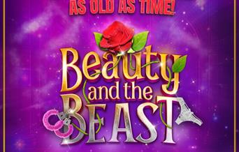 BEAUTY & THE BEAST Adult Panto