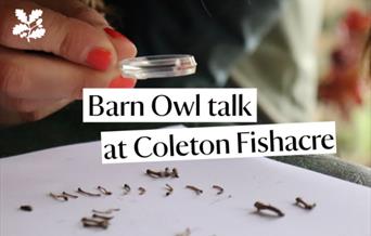 Barn owl talk at Coleton Fishacre