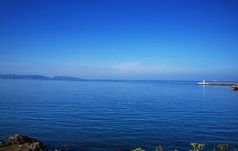 View from Battery Gardens, Brixham, Devon