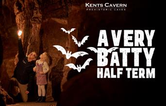 A Vert Batty Half Term