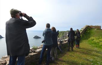 Torbay Coast and Countryside Trust - Autumn Migration Watch, Berry Head, Brixham