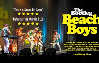 The Bootleg Beach Boys, Palace Theatre, Paignton