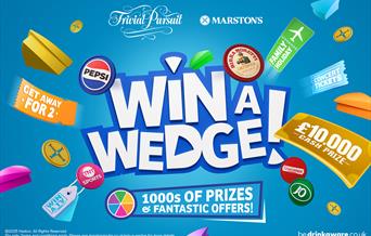 Win A Wedge - Nationwide Game of Trivial Pursuit, Bull and Bush, Torquay
