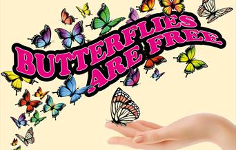 Butterflies Are Free