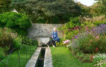 A woman walking through the formal gardens at Coleton Fishacre. The image is framed by blooming flowers beds, and a structured stream carves through t