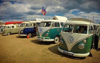 Dubs at the Beach, Paignton, Devon