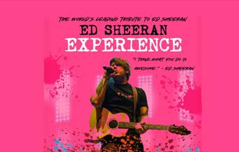 The Ed Sheeran Experience, Arena Torquay