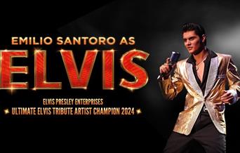 EMILIO SANTORO as ELVIS