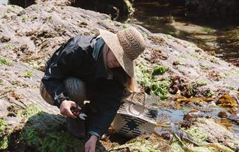 Foraging for seaweed, Be Nutriful